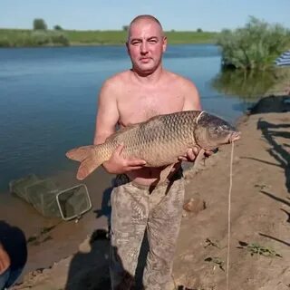 Работа харабали