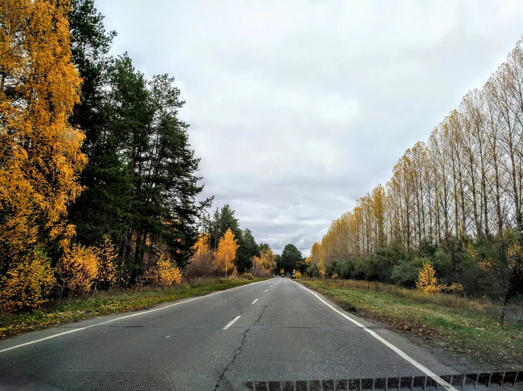 Гисметео мурманск. Яндекс погода на 2 недели. Урень. Прогноз погоды. Урень нижегородская область.