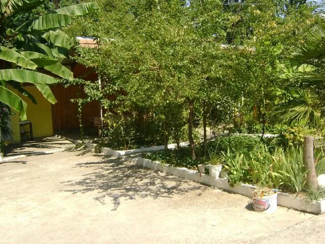 адлер ленина 219 гостевой дом. адлер зеленый дворик. ул щорсе адлер гостевой дом. эко двор адлер. адлер зеленый дворик ул ленина.