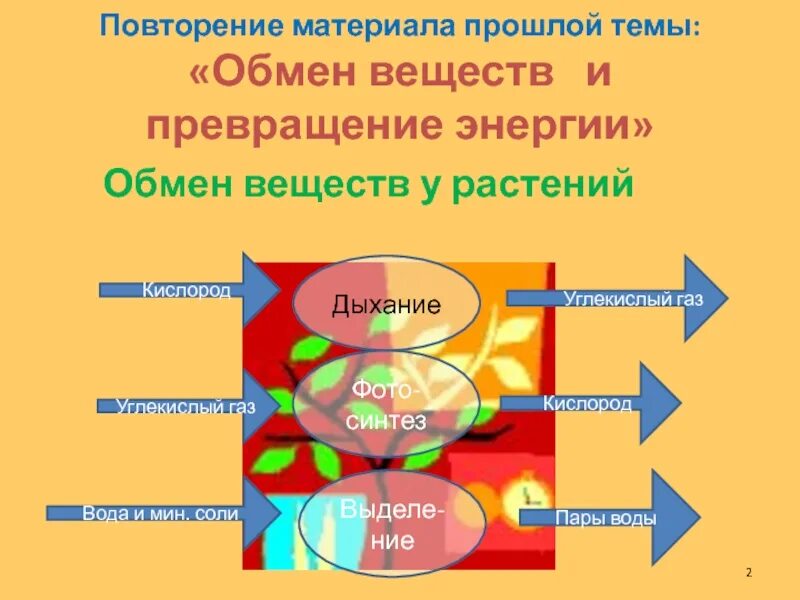 Обмен веществ человека биология. Обмен веществ и превращение энергии. Метаболизм это в биологии. Обмен веществ метаболизм. Обмен веществ и энергии это в биологии.