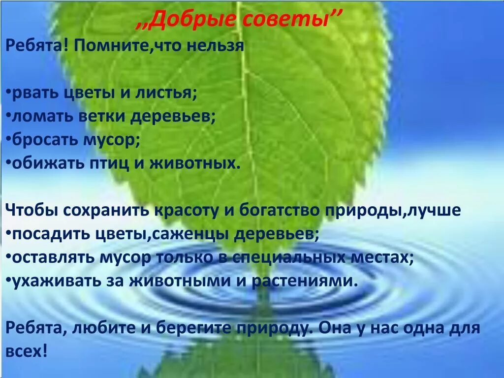 Охранять природу - значит охранять Родину - YouTube