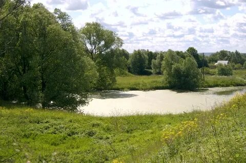 Владимирское городище