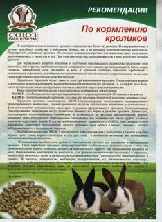 Дают ли кроликам воду