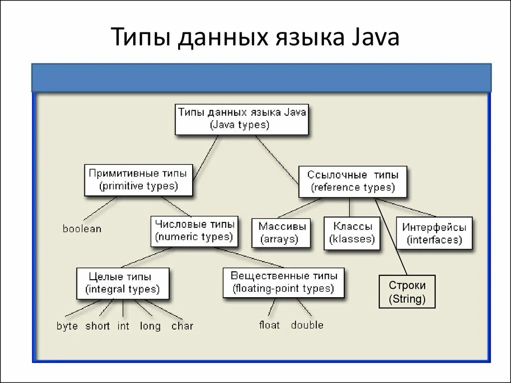 Данный вид