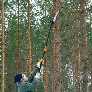 Для обрезки высоких деревьев