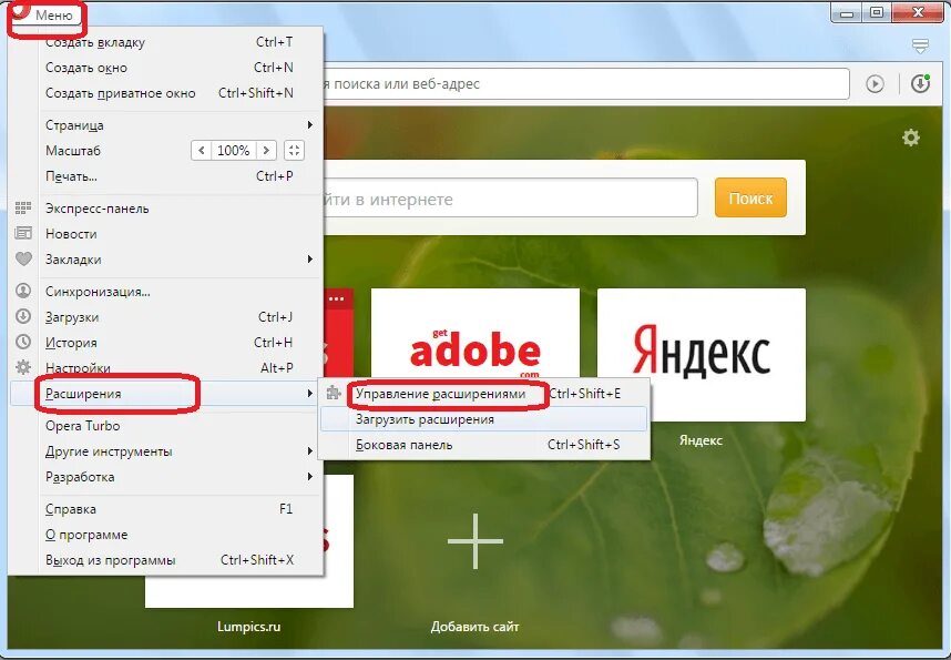 Где в опере расширения. Опера меню. Как в опере найти по картинке. Виджеты для оперы. Расширения в опере где находятся.