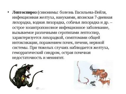 Водная лихорадка