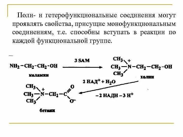 Гетерофункциональные соединения химические свойства. Гетерофункциональные соединения химические свойства. Гетерофункциональные органические соединения. Гетерофункциональные соединения химические свойства. Полифункциональные и гетерофункциональные соединения.