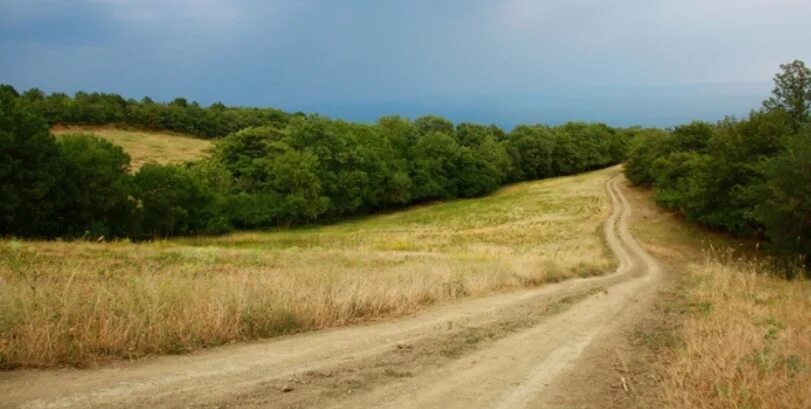 Регуляция слюноотделения схема. Наземная дорога. Торная дорога. Развилка дороги. Торный это.
