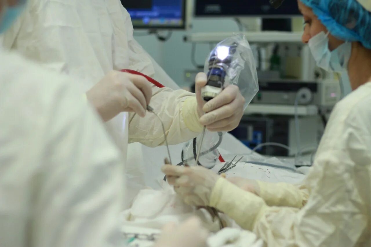 Центр сердечно-сосудистой хирургии астрахань. Сердечно-сосудистая операция. Операция астрахань сердце. Главный врач федеральный кардиоцентр астрахань. Центр сердечно сосудистой хирургии г астрахань.