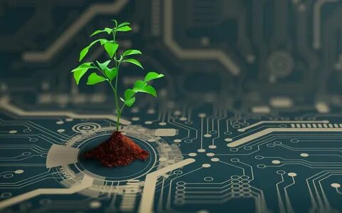 Plant sci