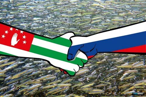 Какие отношения между россией и абхазией