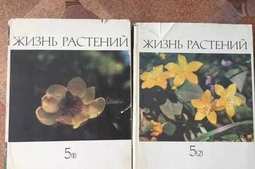 Жизнь растений том 3. А.Л. Тахтаджян жизнь растений 1982. Жизнь растений в 6 томах отзыв видео.