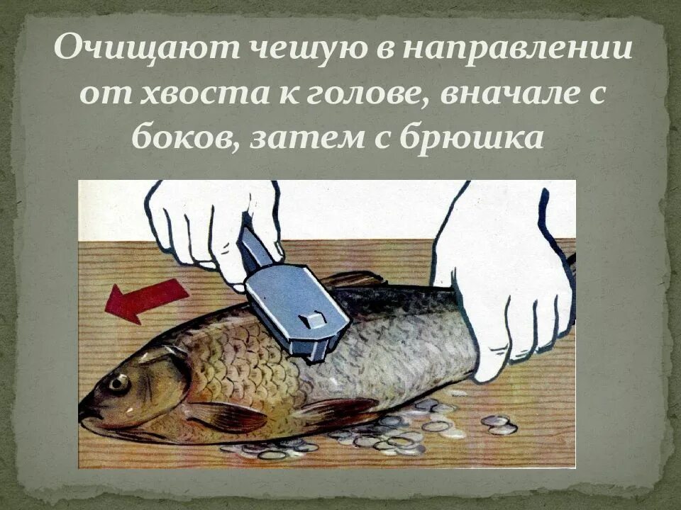 Обработка рыбы операции. Обработка рыбы. Кулинарная обработка рыбы. Первичная кулинарная обработка рыбы. Способы обработки рыбы.