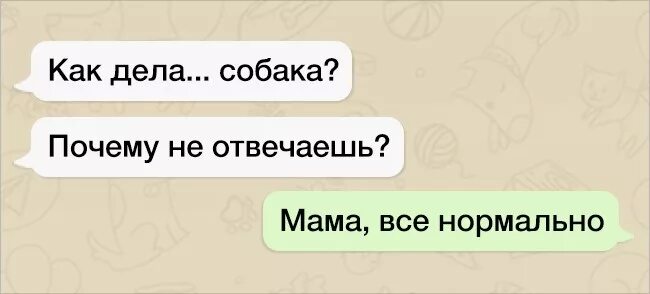 Почему не отвечает сайт. Неизвестный номер картинка. Сообщение от мамы.