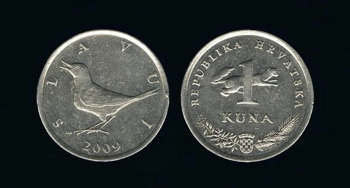 Монета 1 kuna. Монета 5 kuna. Хорватские купюры. Куна хорватия монета. Монеты хорватия 1 куны 1993.