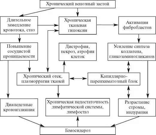 Венозный застой лечение. Патогенез венозной гиперемии схема. Патогенез острой венозной гиперемии. Патогенез хронического венозного застоя. Механизм развития венозной гиперемии тканей.