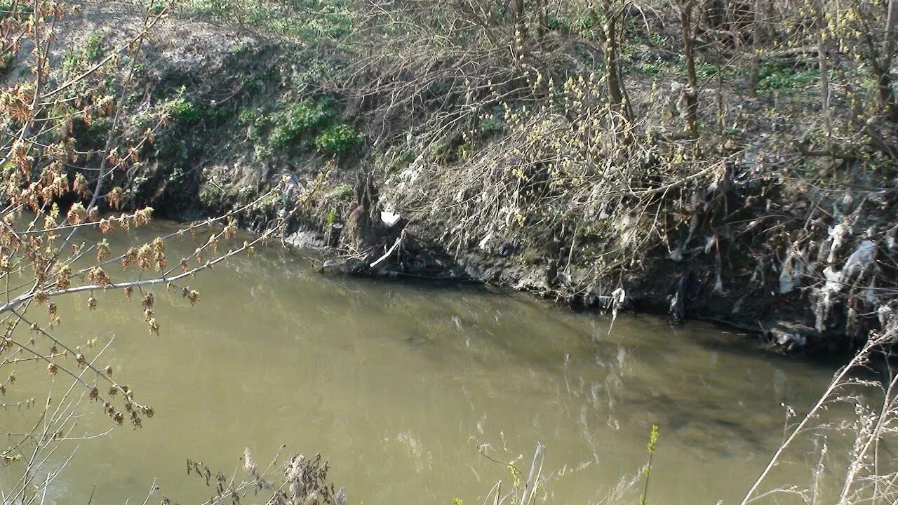 Помнит только мутной реки вода. Река Падовка. Загрязненная река Днепр. Грязные реки Украины.