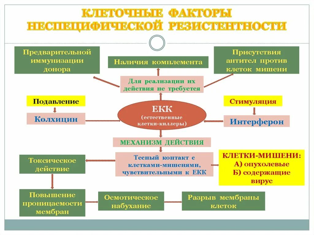 Иммунная резистентность. Клеточные факторы неспецифической (естественной) резистентности:. Клеточные факторы неспецифической резистентности. Клеточные факторы резистентности. Гуморальные факторы неспецифической резистентности организма.