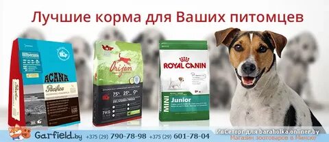 Корм для собак 2023