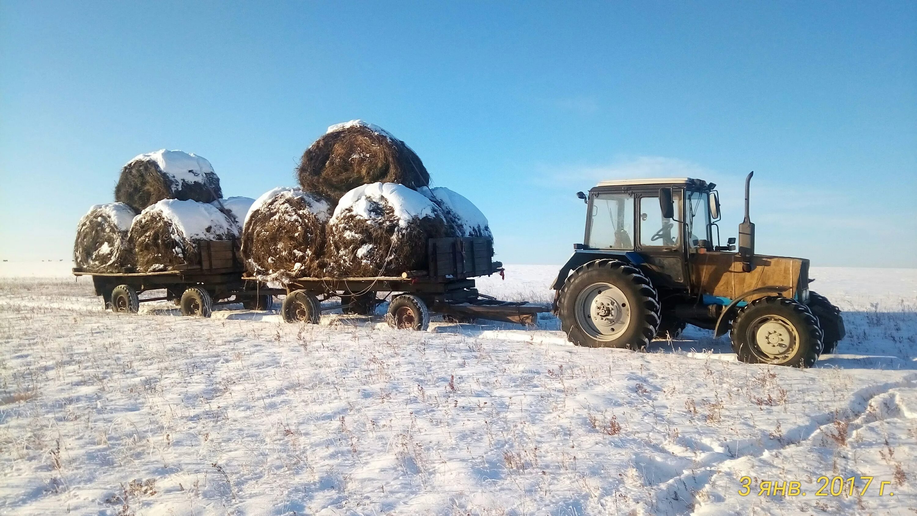 Трактора грузят. МТЗ 892 С прицепом. Трактор МТЗ 892.2. МТЗ 892 С прицепом лесовоз. МТЗ 80 С прицепом.