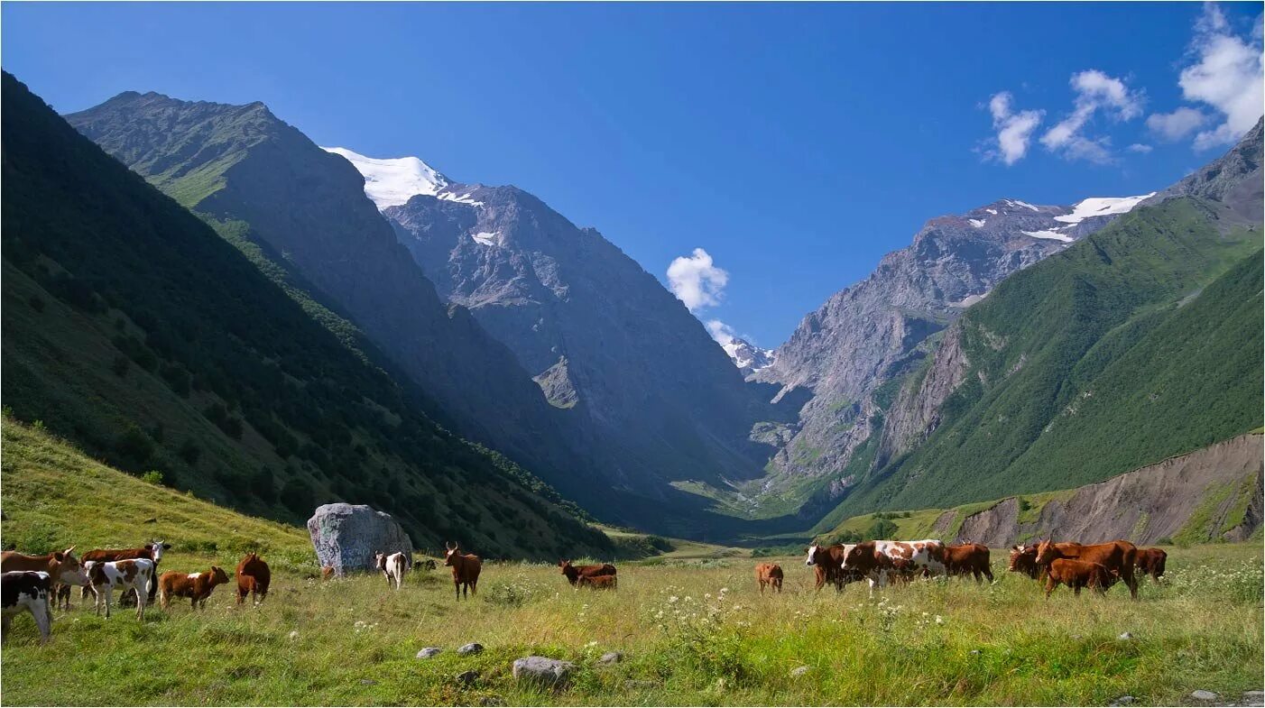 Основные занятия кавказа. Альпийские Луга Северной Осетии. Скотоводство Северной Осетии. Сельское хозяйство Северной Осетии. Северная Осетия Алания хозяйство.