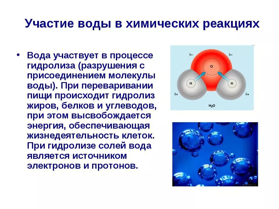 Составляющие частицы воды. Роль воды в химических реакциях. Химические реакции с водой. Роль воды в химии. Молекула воды химия.