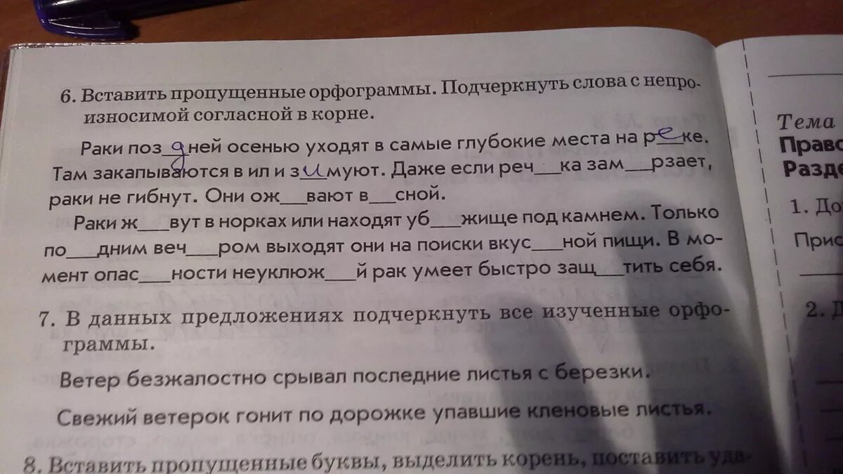 Найди каждую из указанных орфограмм. Орфограммы. Подчеркнуть орфограммы в тексте. Подчеркнуть орфограмму в слове. Списать подчеркнуть орфограммы.