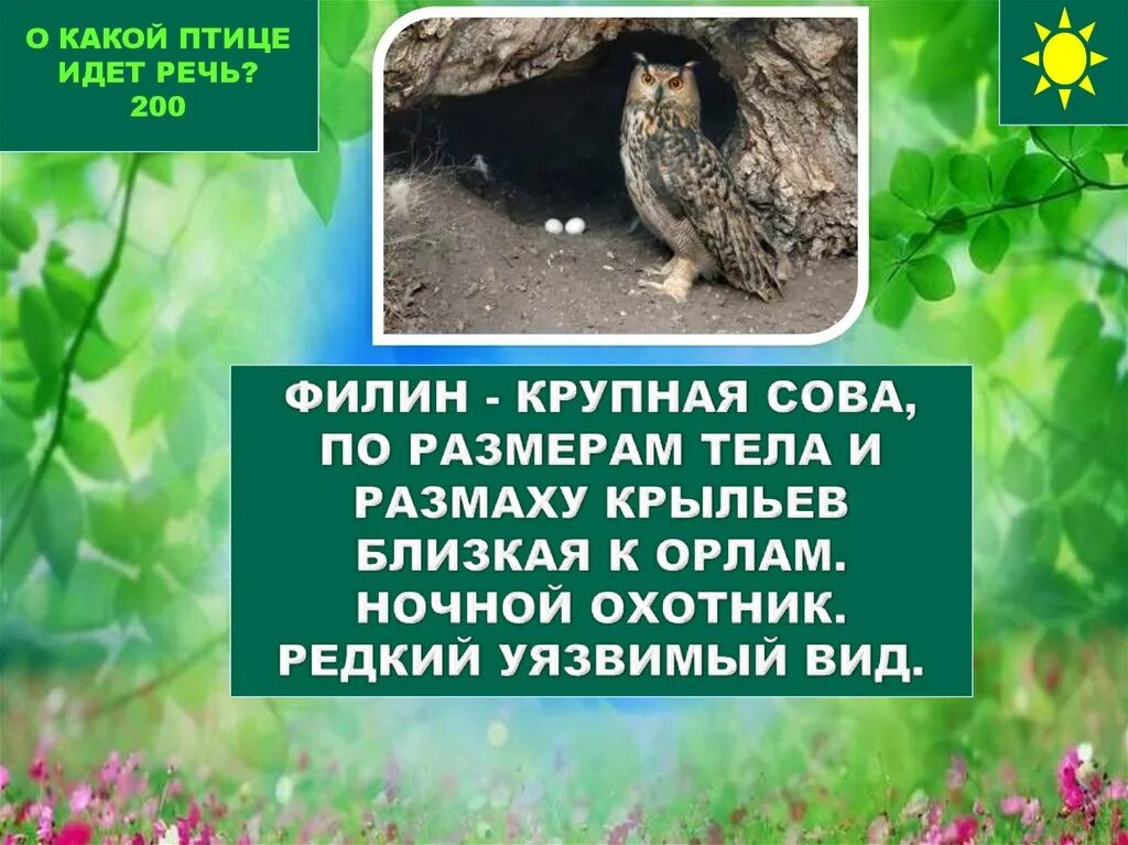 О какой траве идет речь. О какой птице идет речь. Прочитай о какой птице идет речь. Прочитайте о какой птице идет. Упражнение 2 о какой птице идёт речь.