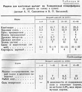 С какого возраста цыплятам можно давать пшеницу