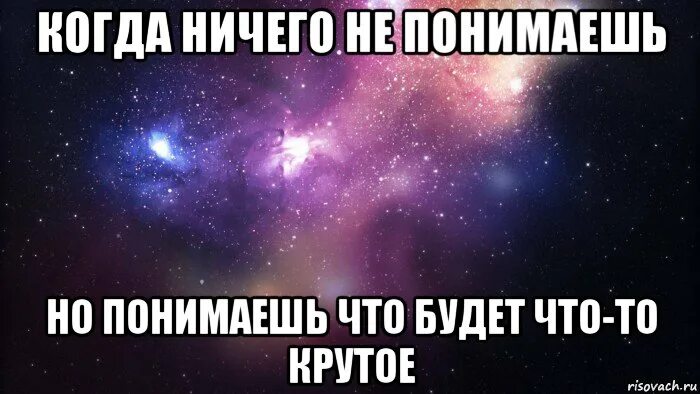Типа ничего было. Когда ничего не понял. понял что ничего не понял. ничего не понимаю. я ничего не понимаю.