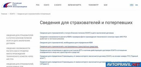 Узнать новый номер страхователя
