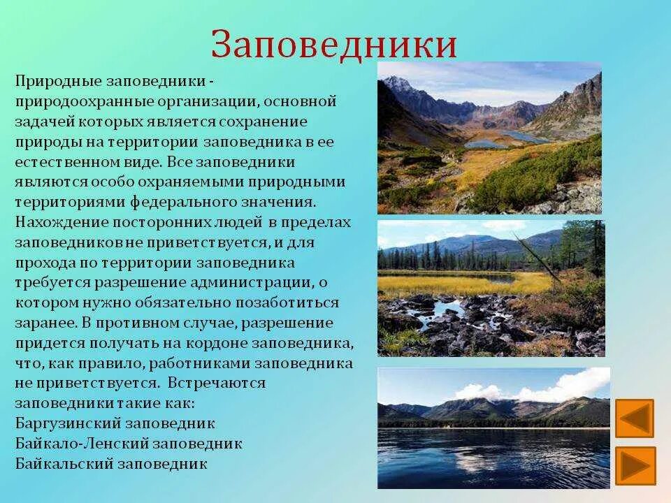 Сообщение о заповеднике. Доклад о заповеднике. Сообщение озаповеднеке. Заповедники России доклад.