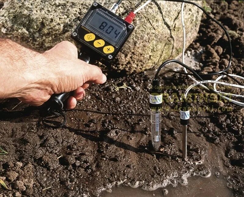 Влажностью кислотностью и. PH метр для почвы. Полевой влагомер почвы. PH-метр почвенный Hi 99121. Приборы для измерения почвы.
