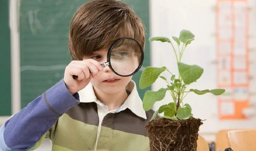 Ребенок показывает опыт. Урок биологии. Ученики на уроке биологии. Ботаник с цветами. Школьники на уроке биологии.