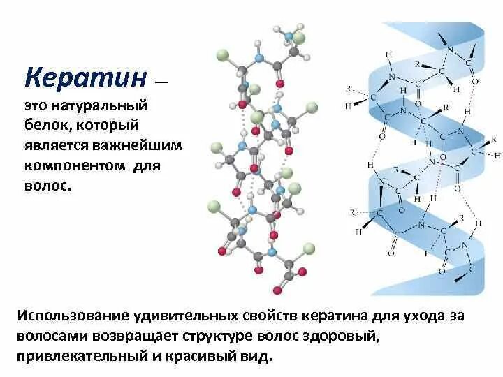 Состав белка кератина структура. Структура кератина биохимия. Кератин белок структура. Альфа кератин структура.