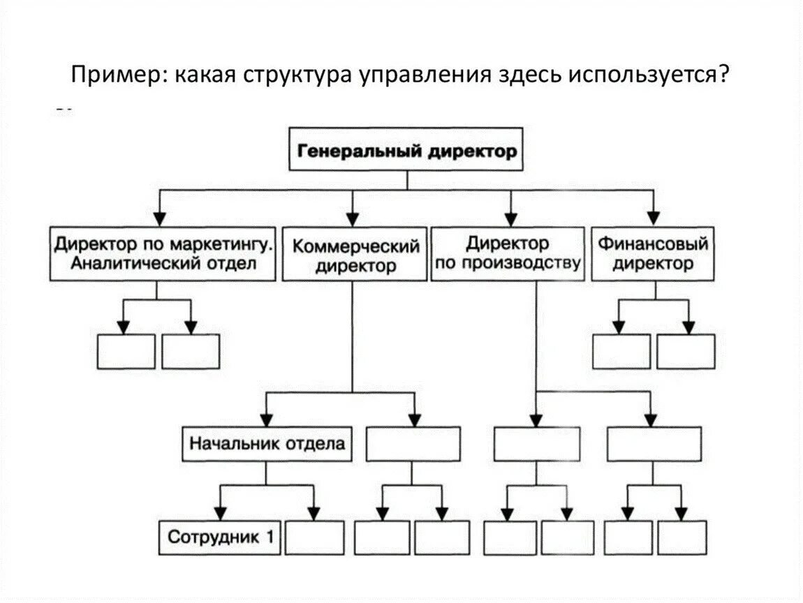 Какую структуру вы представляете. Организационная структура организации образец. Структурная схема организации предприятия. Организационная структура предприятия схема на примере. Орг структура предприятия примеры.