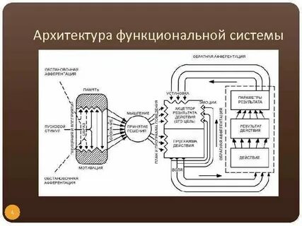 Разработка функциональных систем