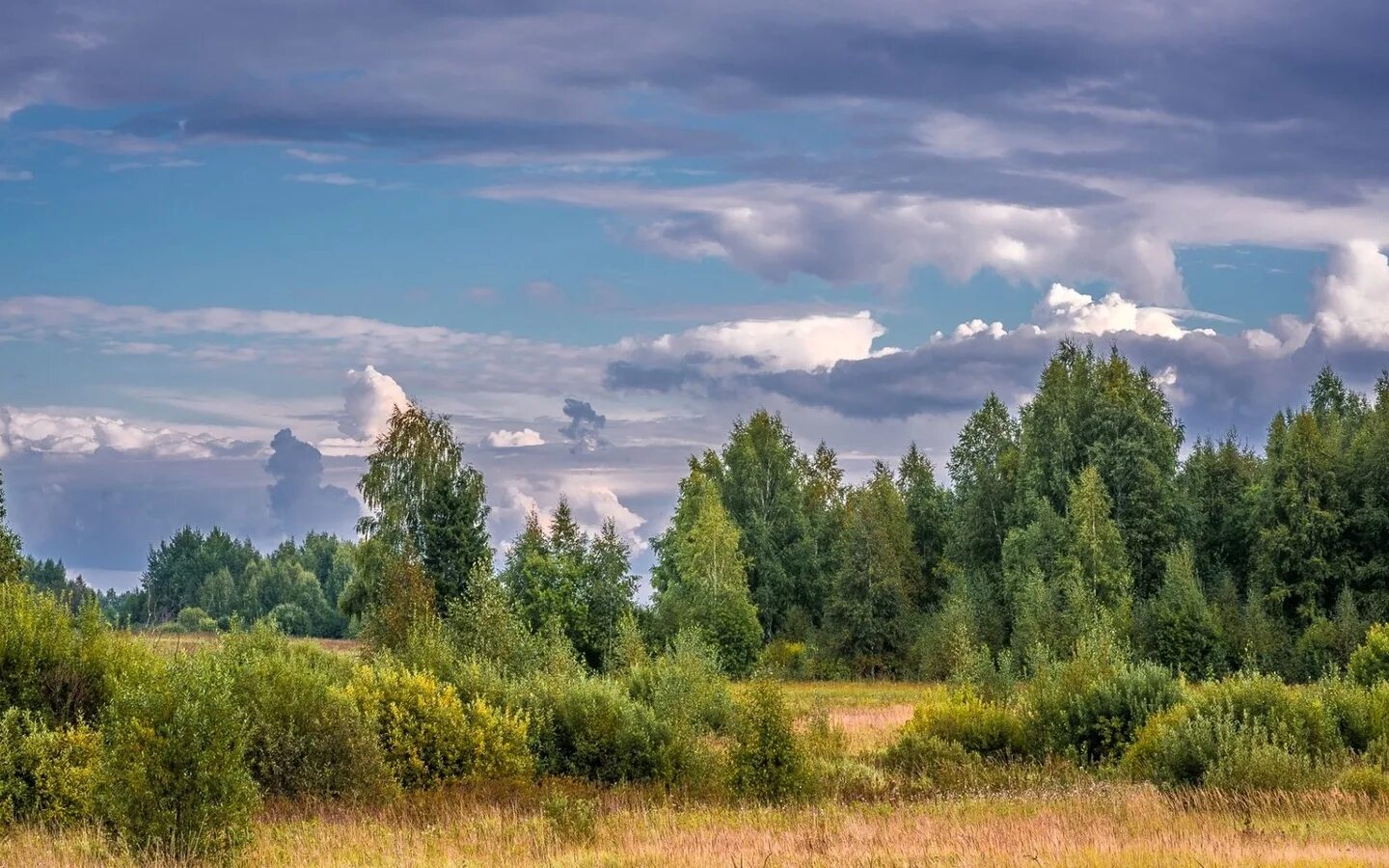 Вдали синела