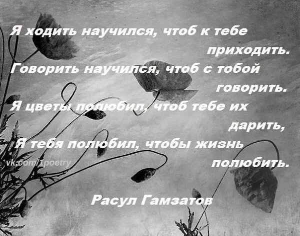 Я ходить научился чтоб к тебе приходить стих. Стих я ходить научился. Гамзатов стихи о любви. Как сказать чтобы не приходил