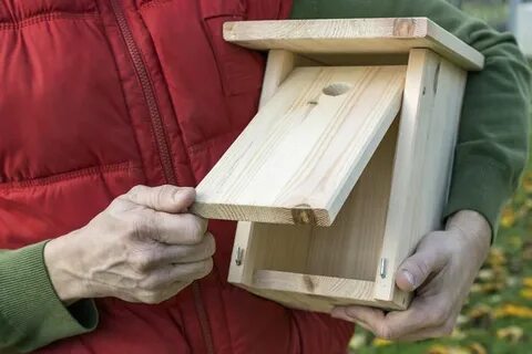 Build nesting boxes