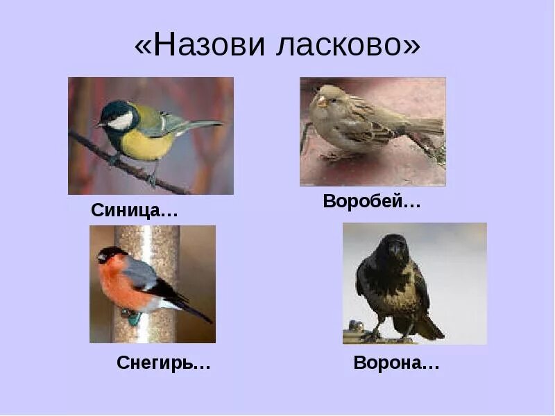 Снегирь и Воробей. Назови ласково птиц. Синица и Воробей. Назови ласково зимующие птицы. Ворон ласково