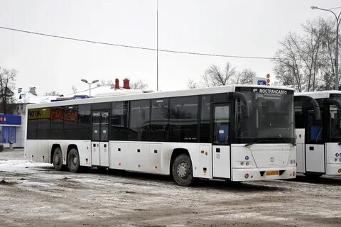 Автобус 494 белоостров расписание