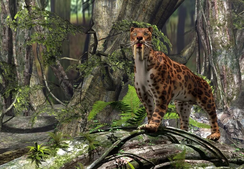 Smilodon. Саблезуб Megantereon. Саблезубого тигра. Саблезубый леопард древний. Смилодоны хищники.