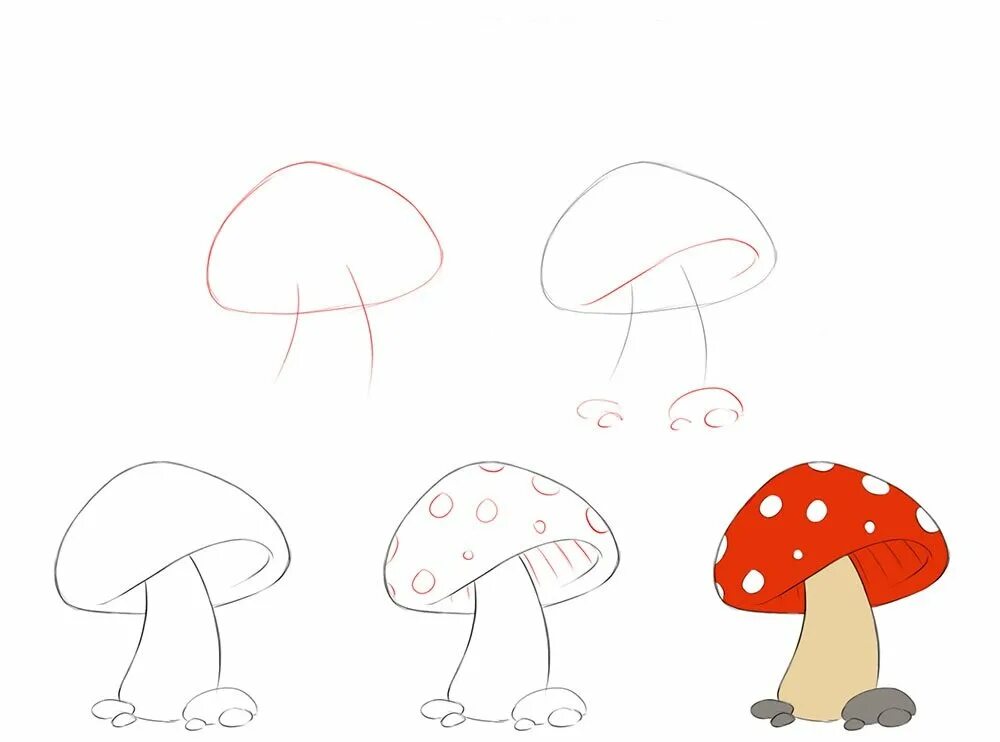 Как нарисовать мухомор карандашом поэтапно для детей. Рисование грибов белый гриб мухомор. Поэтапное рисование гриба. Рисуем грибы поэтапно. Грибы поэтапно