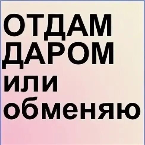 Приму даром в чувашии на авито