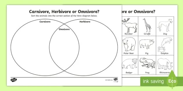 Carnivore перевод. Herbivore Carnivore Omnivore. Herbivore Carnivore Omnivore Worksheet. Venn diagram Herbivores and Carnivores. Animals Worksheets Omnivore Carnivore.