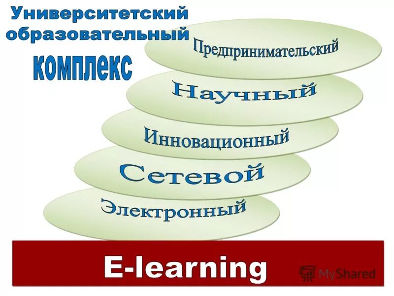 Уровни университетского образования. Уровни университетского образования