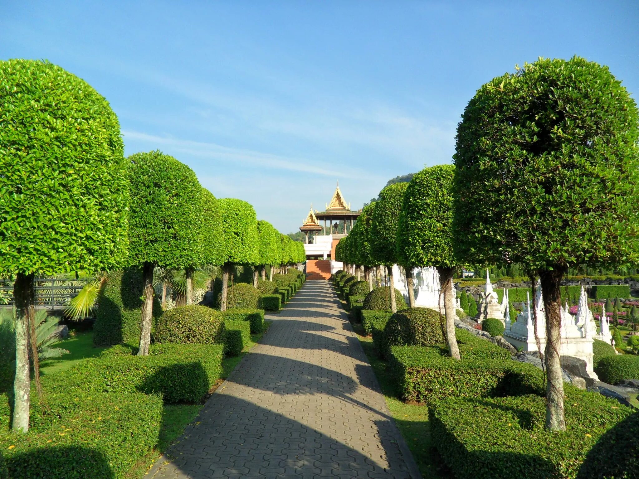 Парк горецкого краснодар. Бежецк липовая аллея. Парк северное тушино. Открытая аллея. Аллея парка, дорога, уходящая вдаль.