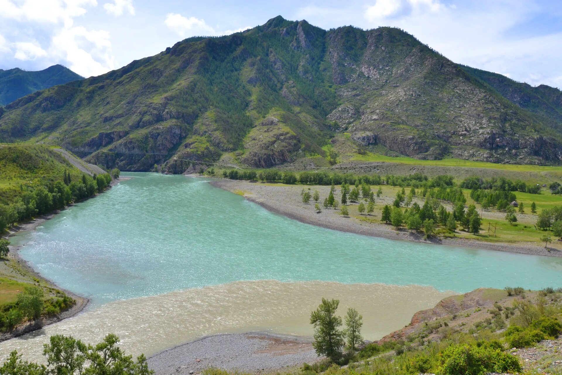 Река Аргут горный Алтай. Горный Алтай Бия и Катунь. Река Бия и Катунь Алтай. Долина реки Аргут горный Алтай.
